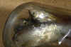 Gardons1965_919.JPG (172872 octets)