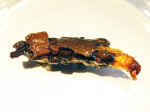 Trichoptere_etui_vegetaux_0748.JPG (87875 octets)