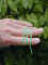 Pf Loop05.jpg (83111 octets)