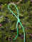 Pf Loop11.jpg (245446 octets)