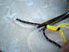 PLG-H-08.JPG (137114 octets)