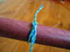 noeud_constricteur_05_1632.JPG (46338 octets)