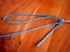 Noeud_palomar_01_1609.JPG (60374 octets)